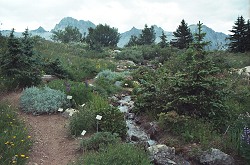 alpentuin
