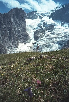 de gletscher op de achtergrond