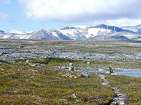 Dovrefjell