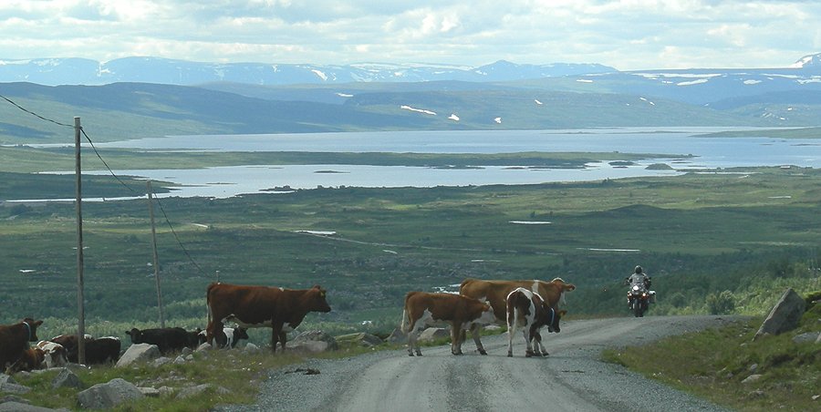 De onverharde Jotunheimveien