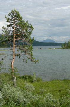 Terugweg naar Randsverk