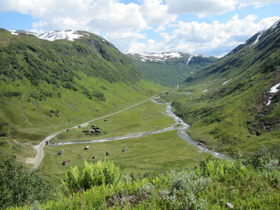 gaularfjellet