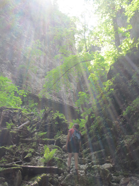 Pokljuka gorge